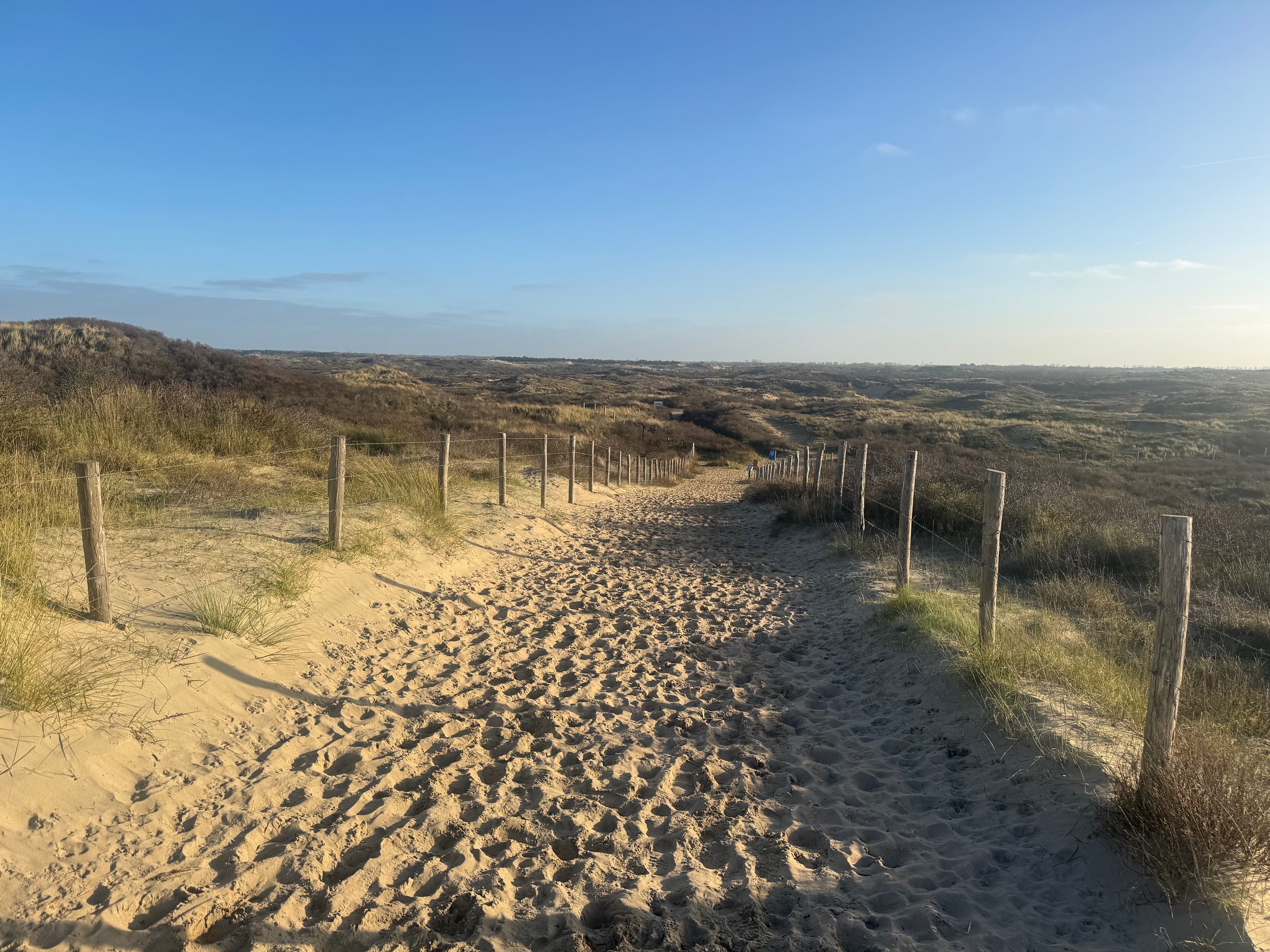 Zandpad door de duinen van Nationaal Park Hollandse Duinen